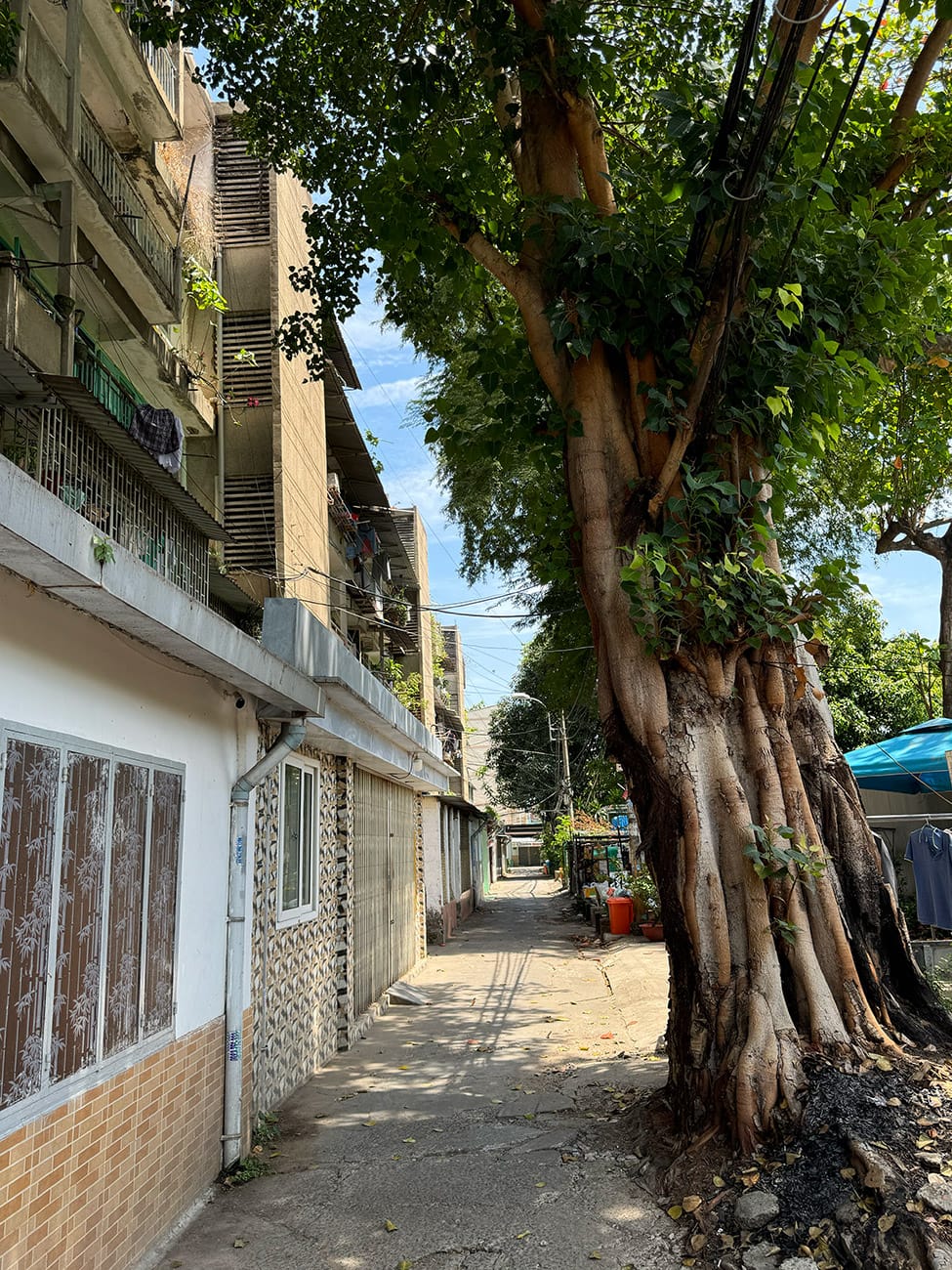 Trôi giữa hai bán đảo phù hoa