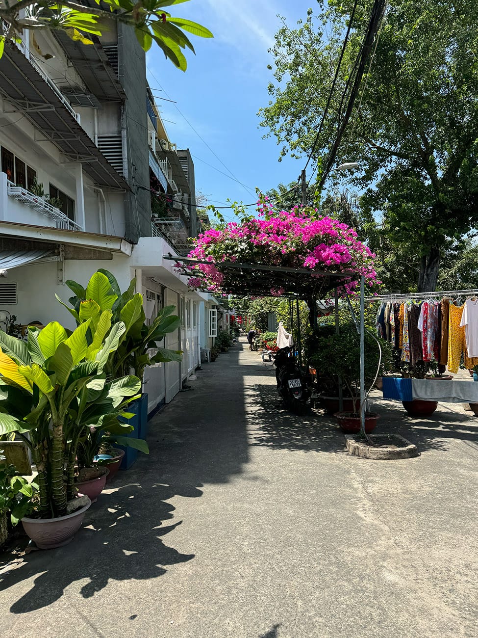 Trôi giữa hai bán đảo phù hoa