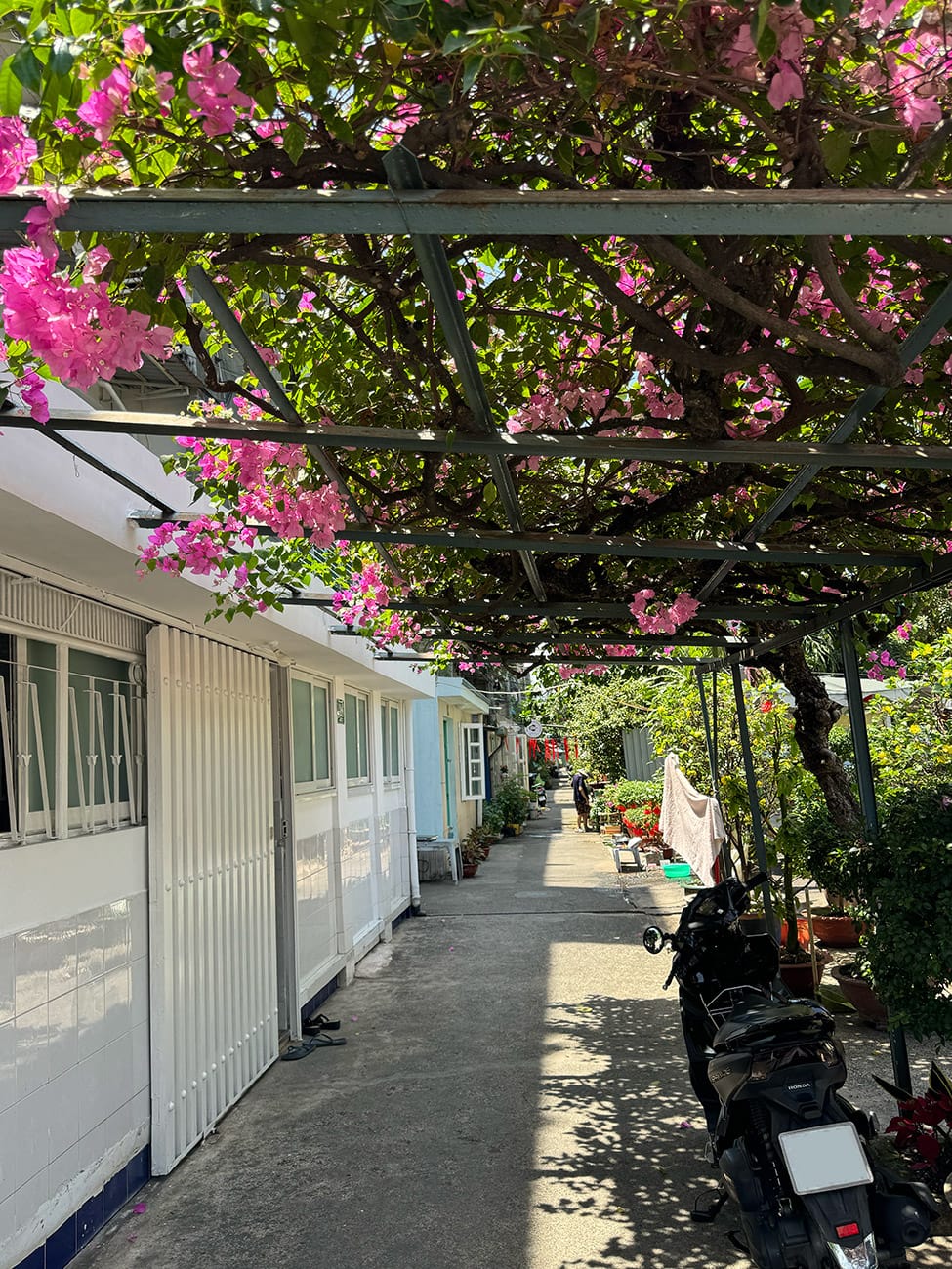 Trôi giữa hai bán đảo phù hoa
