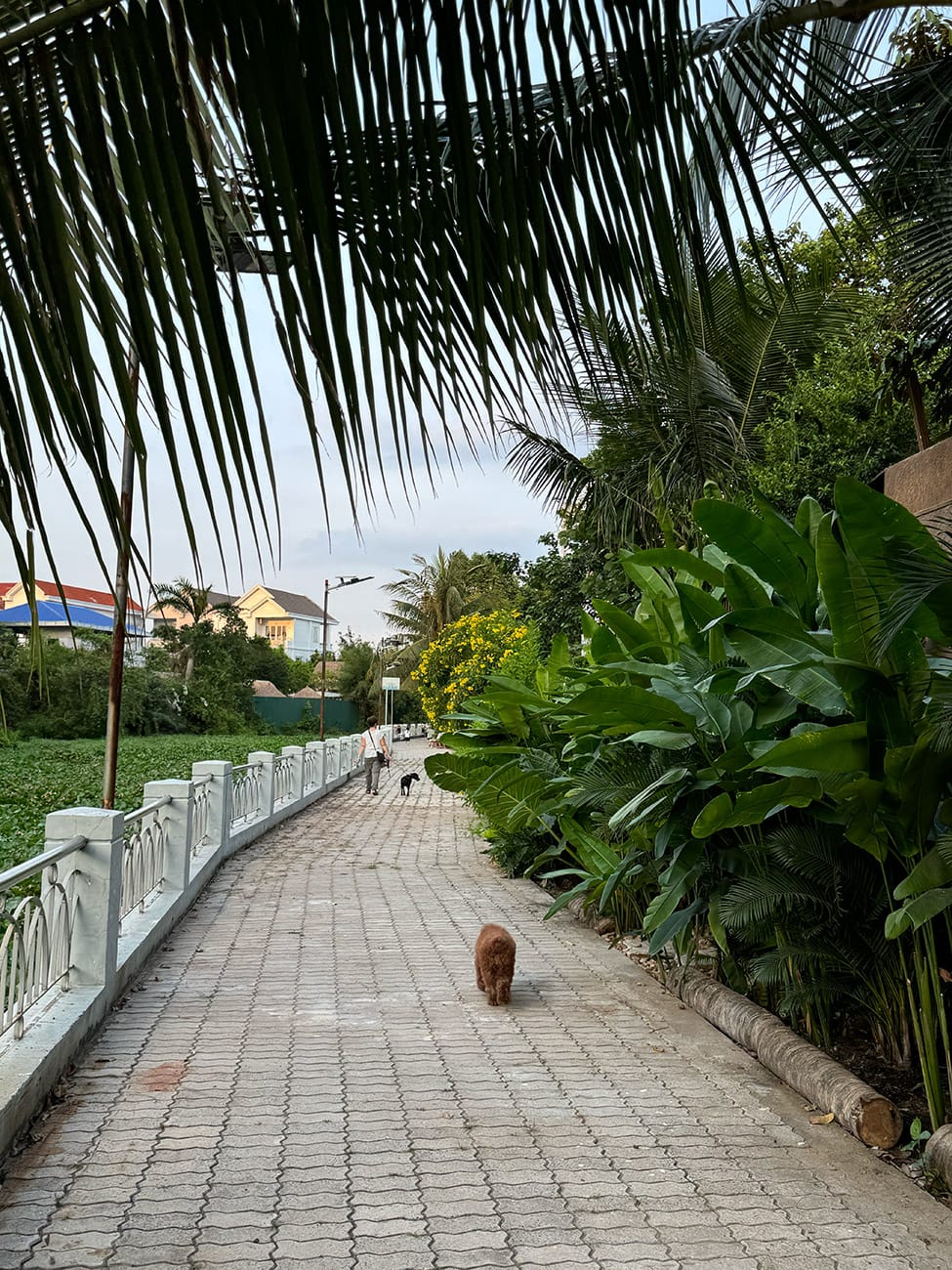 Chill ở ngôi làng đẹp bên sông