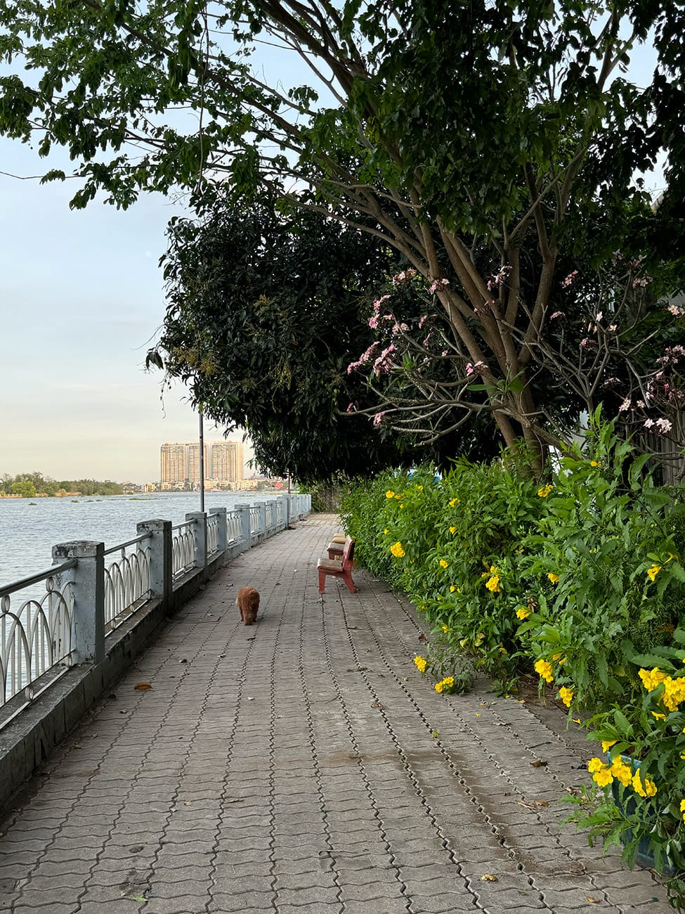 Chill ở ngôi làng đẹp bên sông