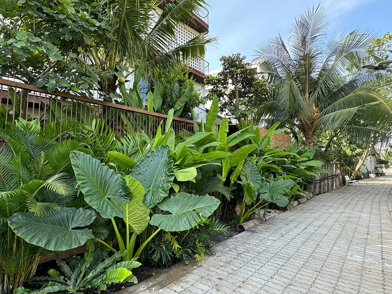 Chill ở ngôi làng đẹp bên sông
