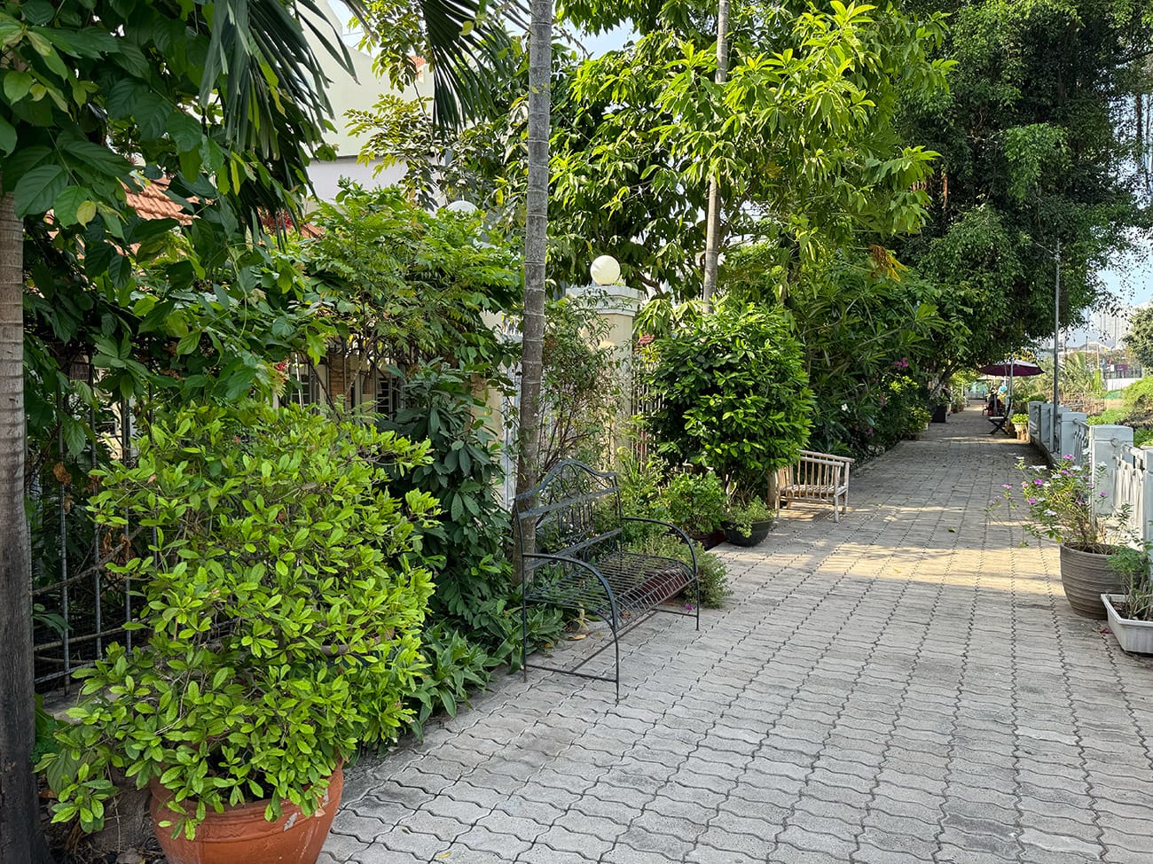 Chill ở ngôi làng đẹp bên sông