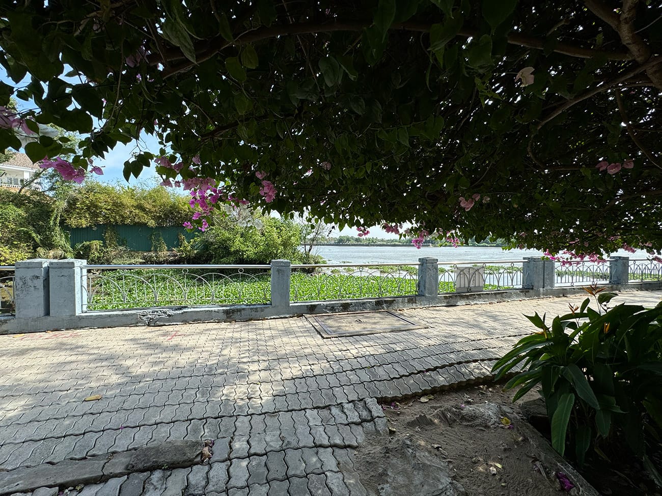 Chill ở ngôi làng đẹp bên sông