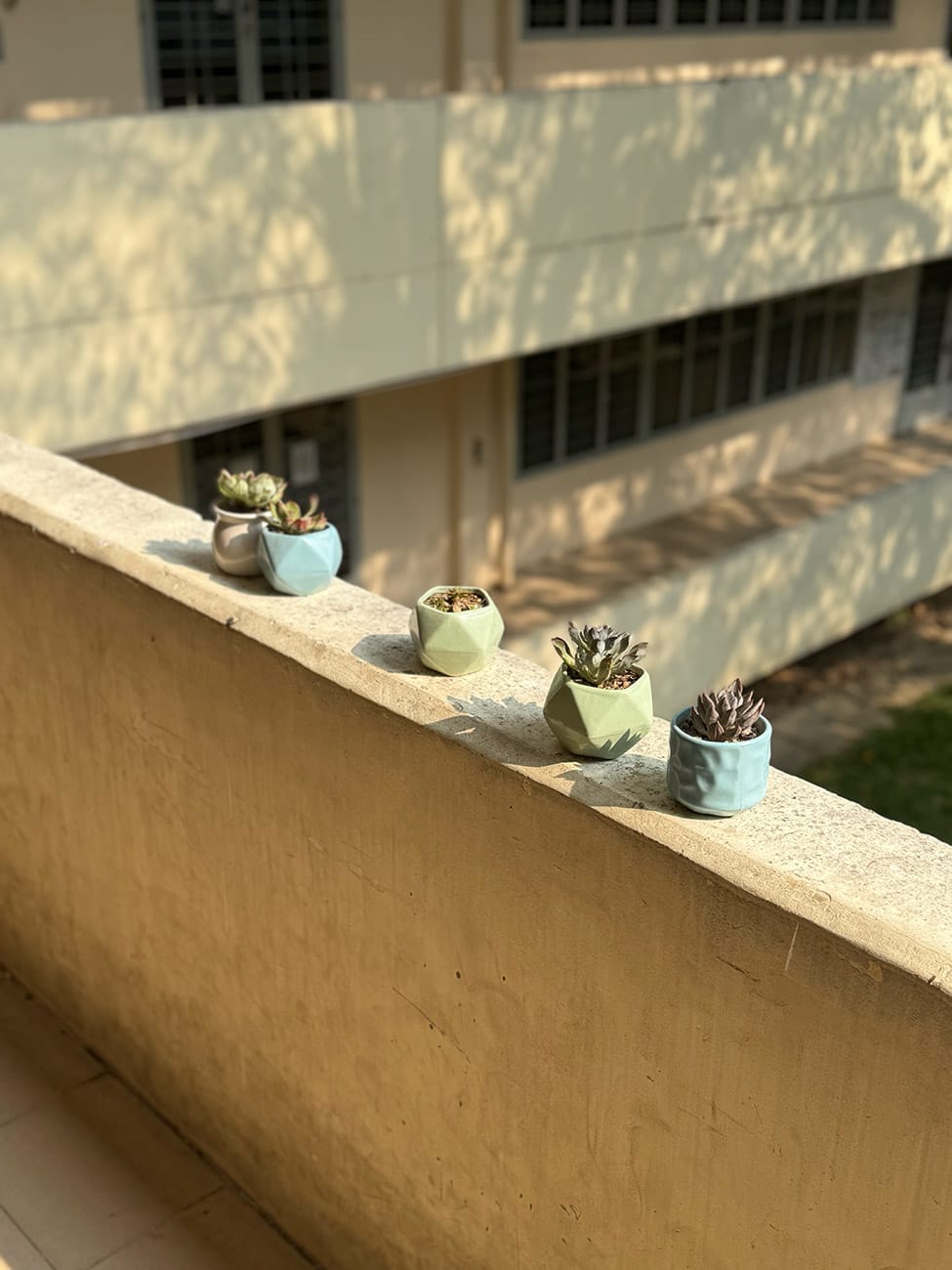 Ngôi trường Đà Lạt ở Sài Gòn và câu chuyện lạ về kiến trúc