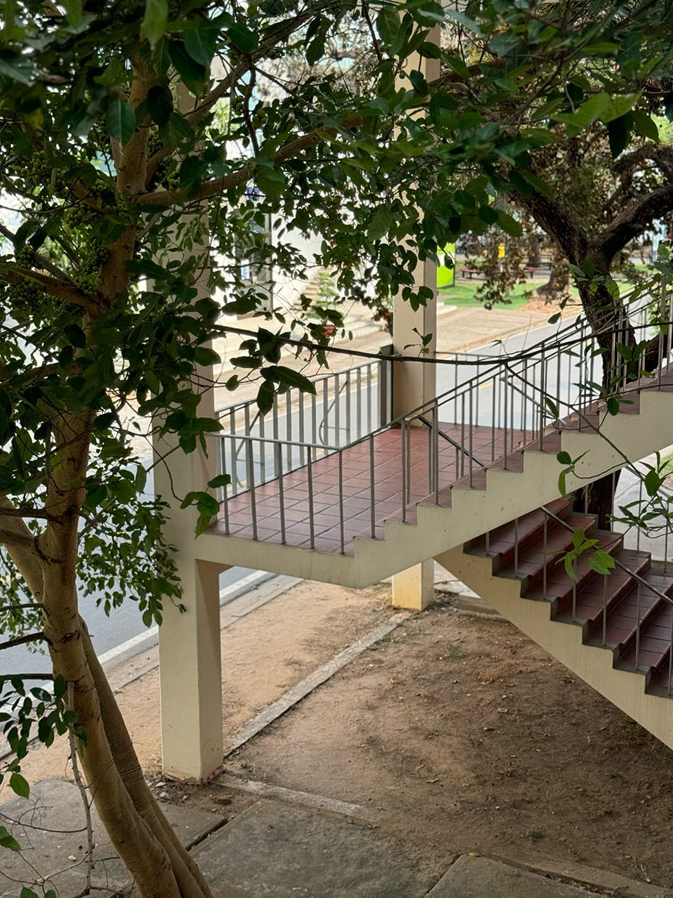 Ngôi trường Đà Lạt ở Sài Gòn và câu chuyện lạ về kiến trúc