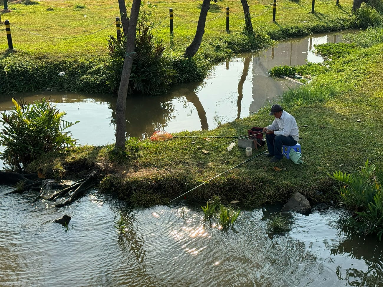 Vẻ đẹp của một dòng tu cô đơn