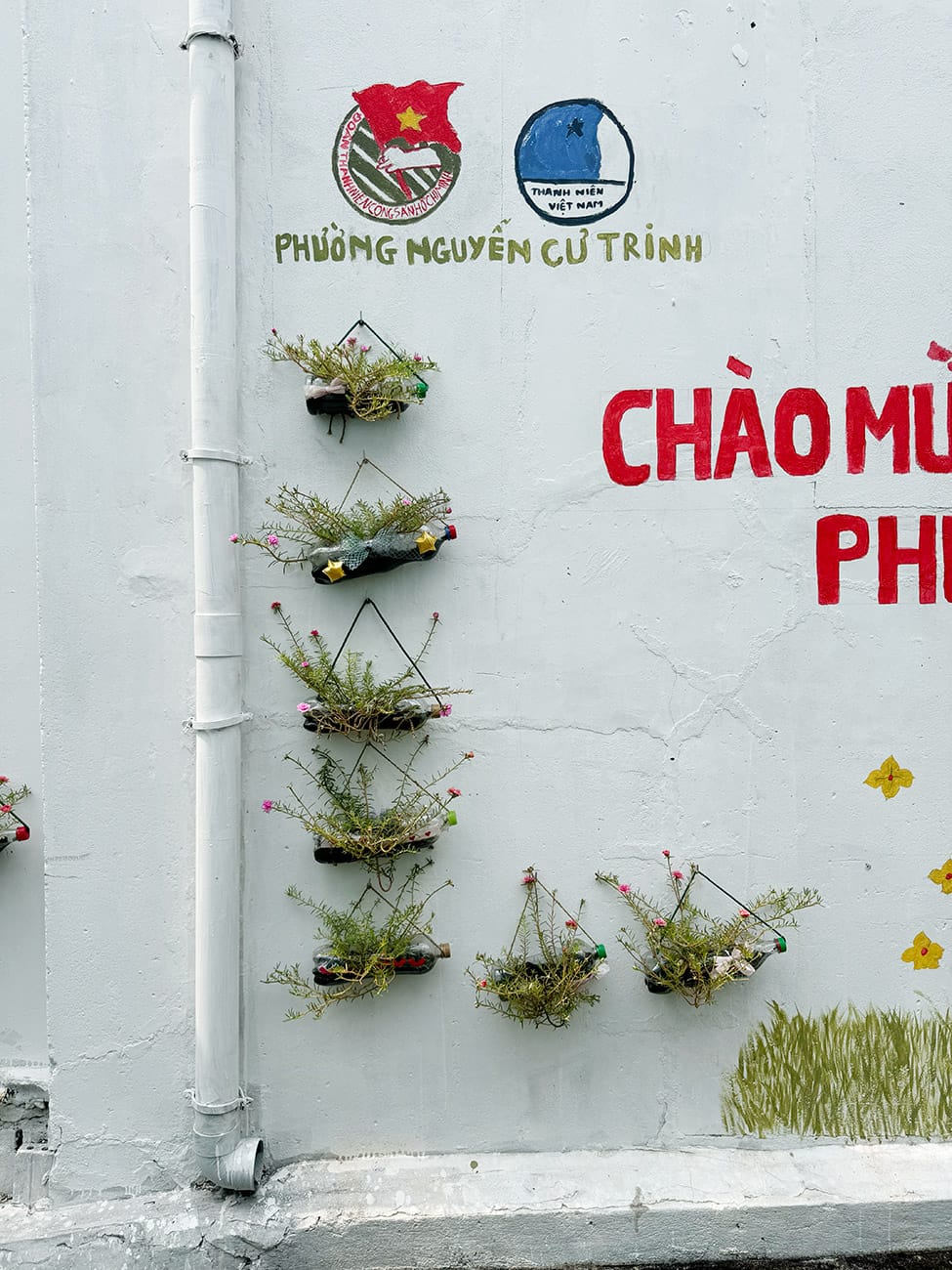 Luôn có gì đó trong một con hẻm bình thường