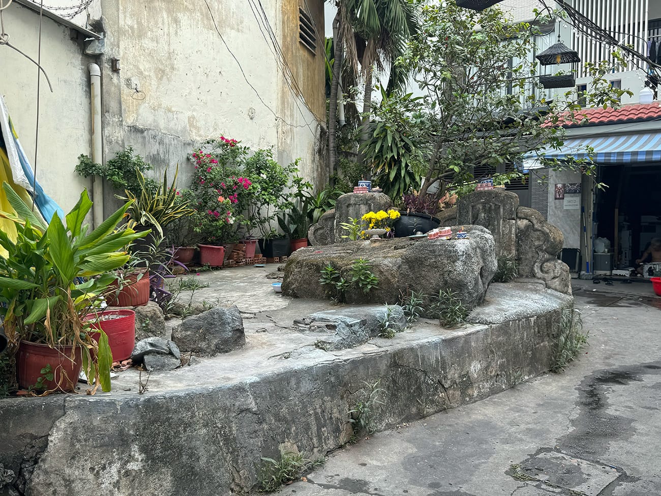 Luôn có gì đó trong một con hẻm bình thường