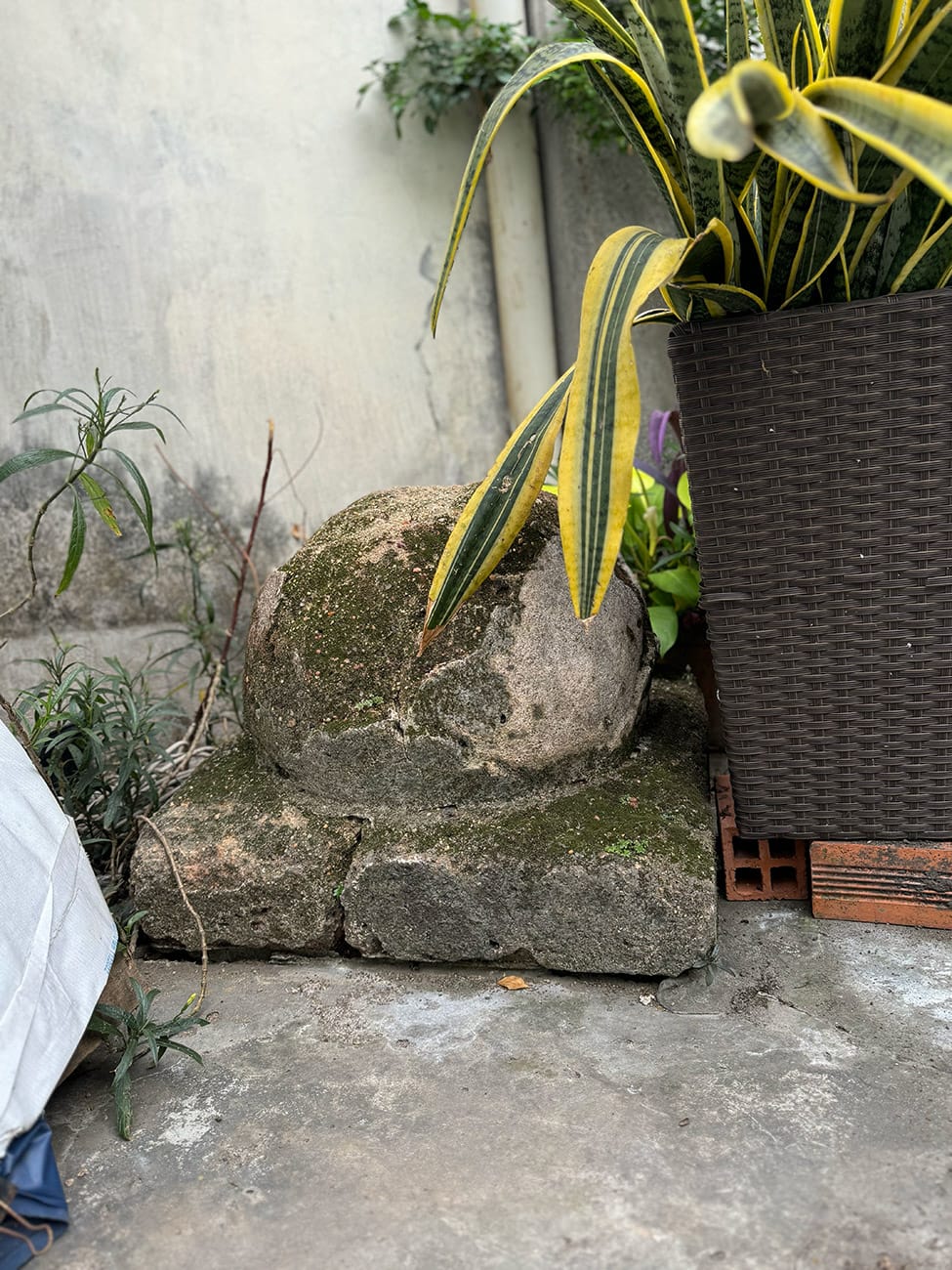 Luôn có gì đó trong một con hẻm bình thường