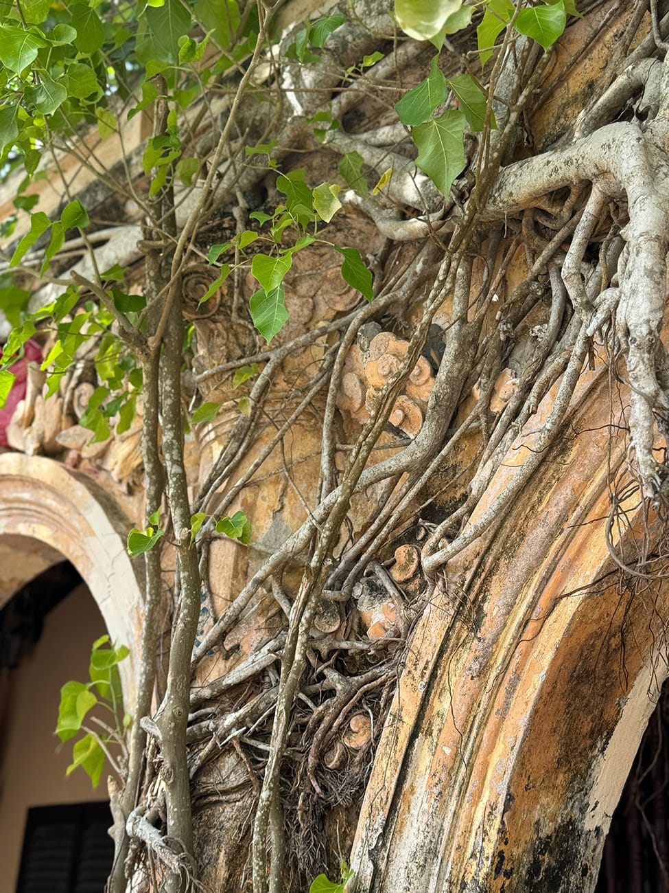 Một ngôi đình kỳ lạ