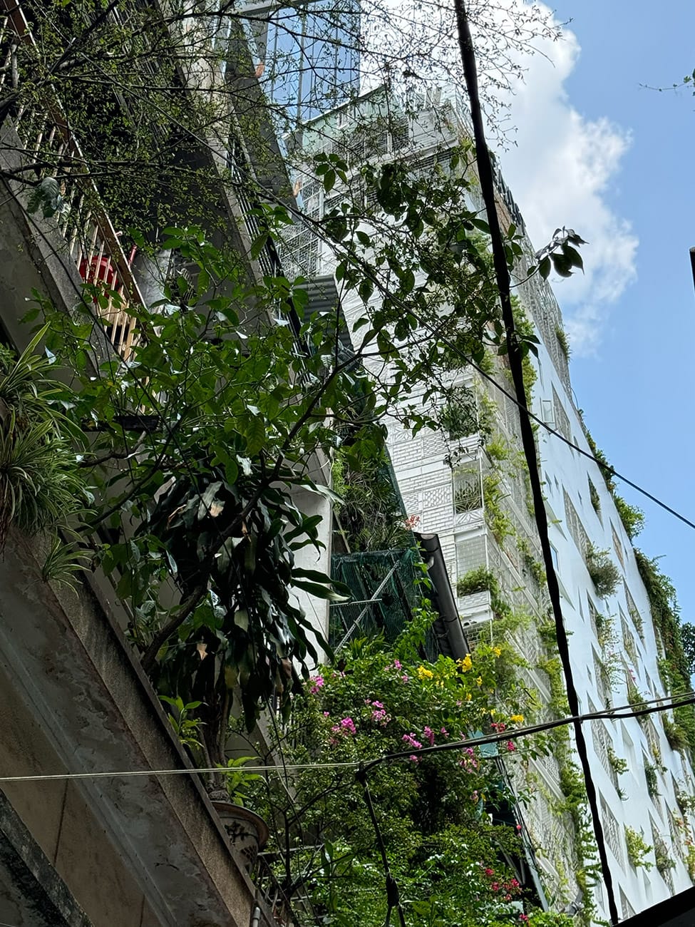 Chật hẹp và xinh xắn