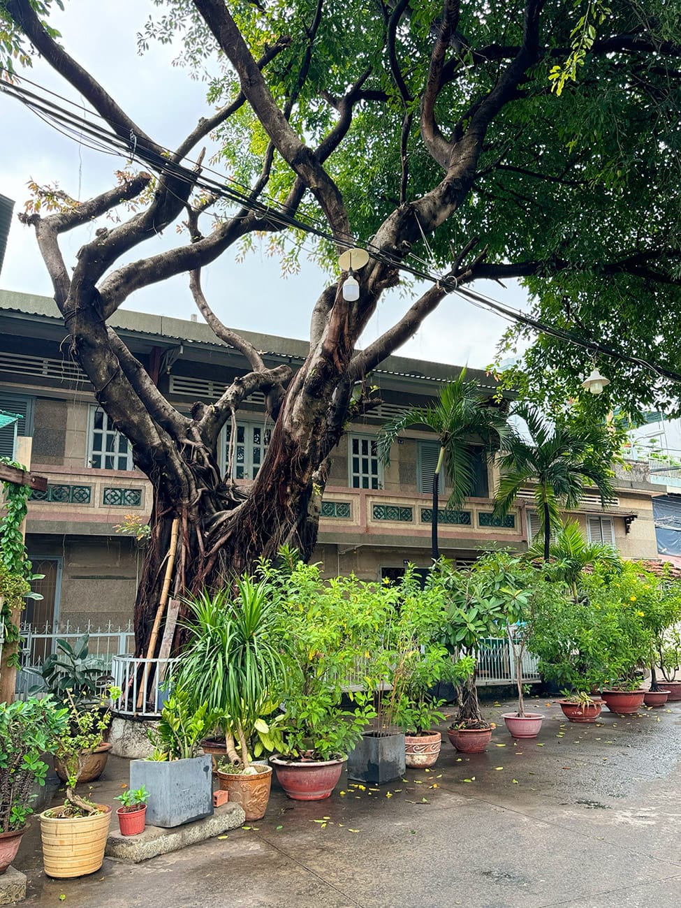 Hẻm nhỏ, bóng mát và một xóm đạo không ai ngờ tới