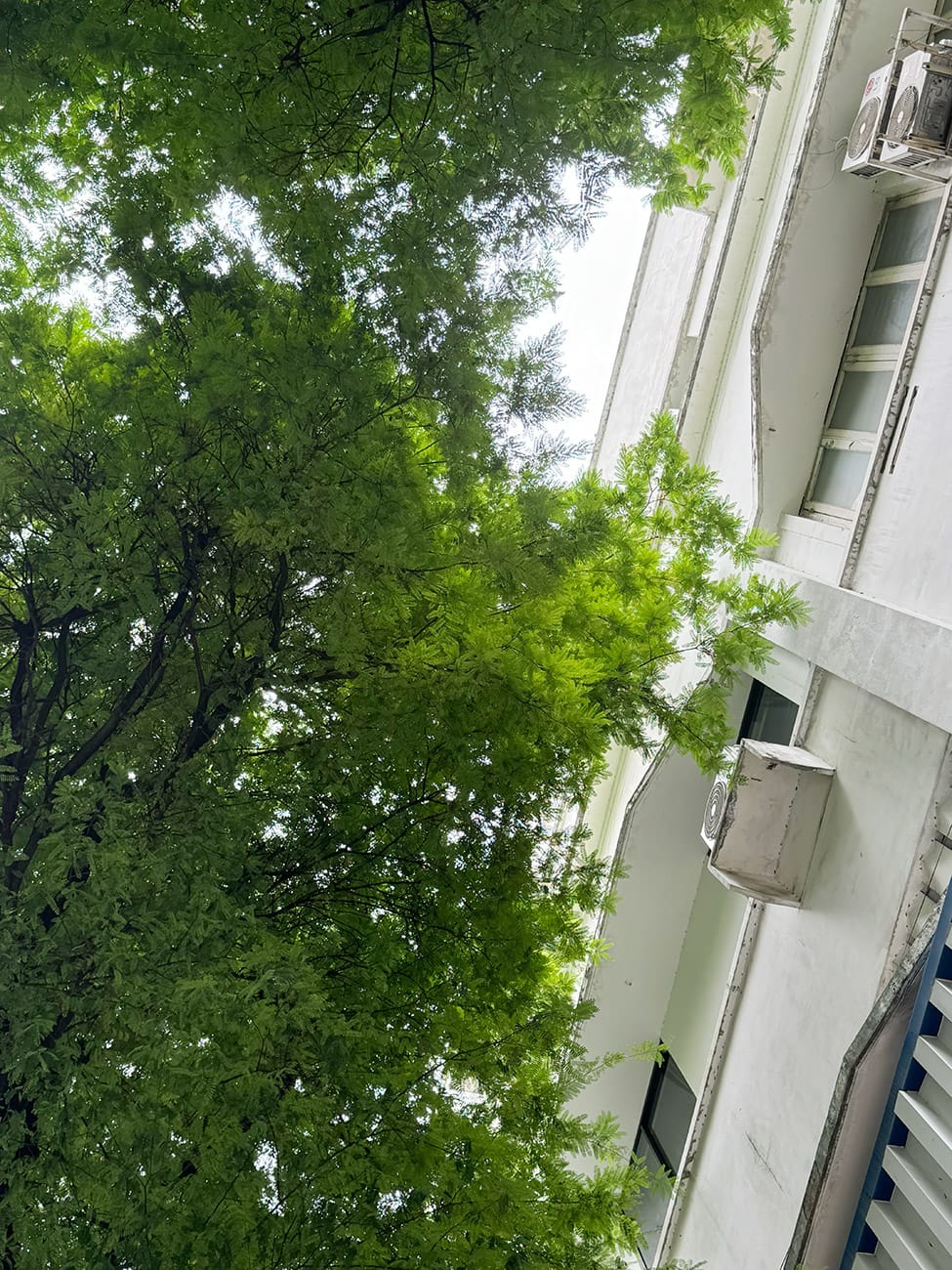 Khu phức hợp đầu tiên của Sài Gòn và gánh hát cuối cùng