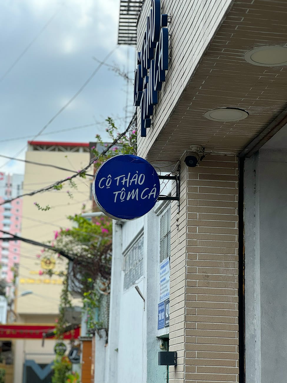 Chill trên con đường cổ điển
