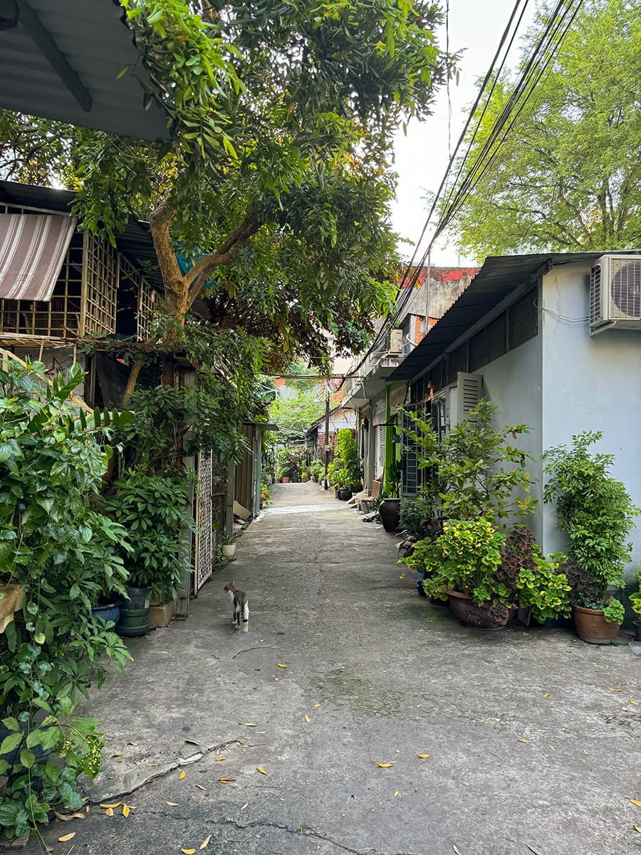 Chill ở các triền dốc Sài Gòn
