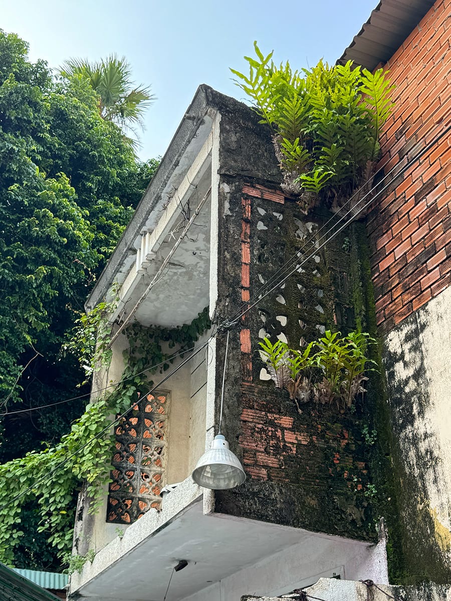 Chill ở các triền dốc Sài Gòn