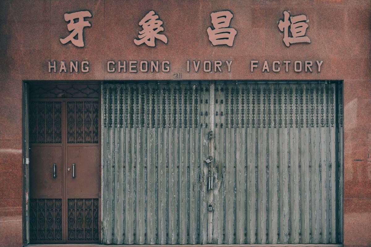 Những cánh cổng nghệ thuật bị lãng quên