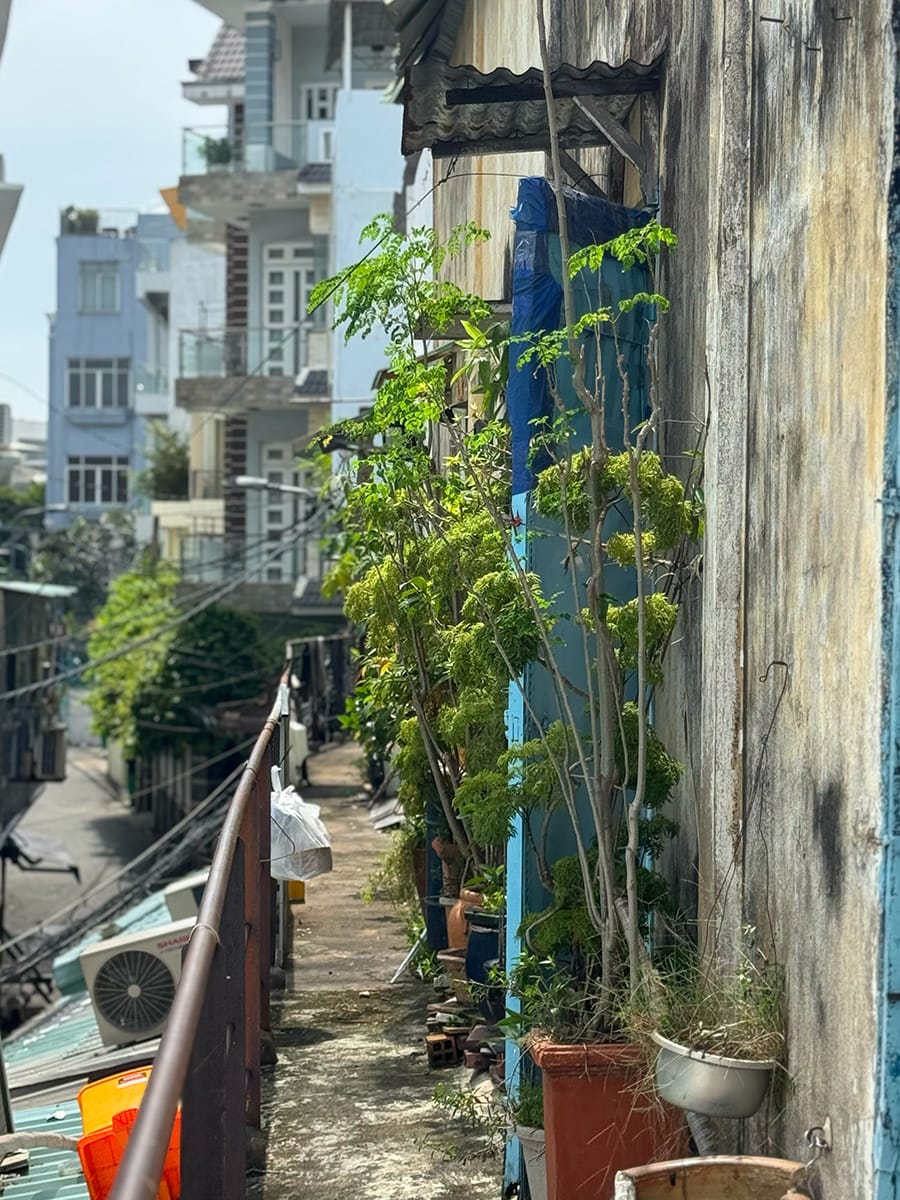 Cư xá bước ra từ một bài hát