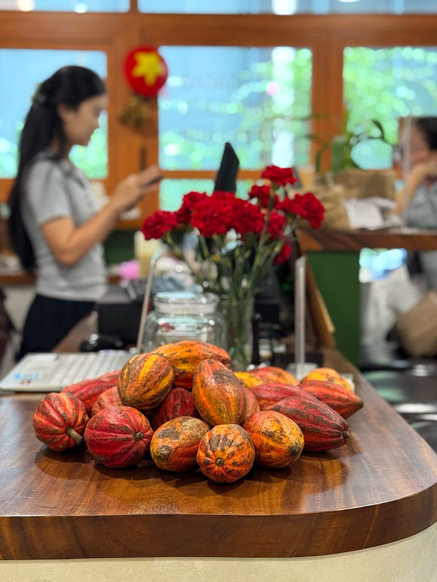 Ghé vào hang nhỏ ở trung tâm