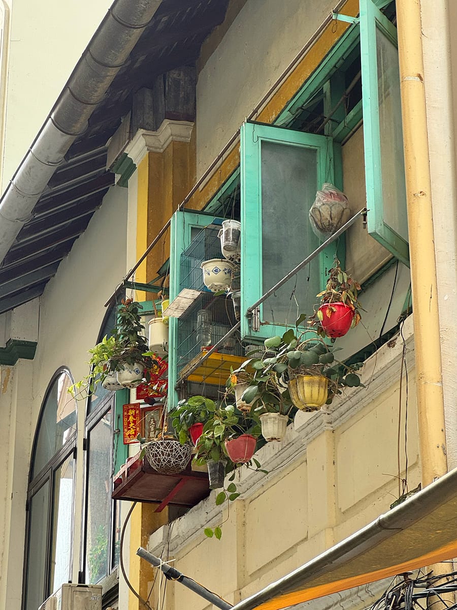 Ghé vào hang nhỏ ở trung tâm