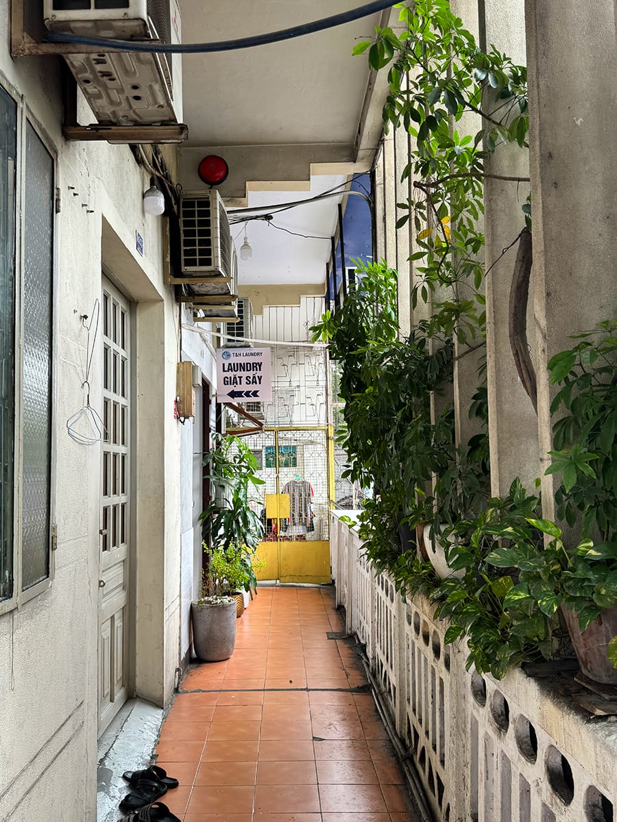 Lạc trong một bất ngờ cổ điển